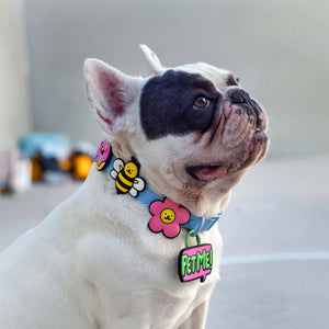 JIBY Pet Me Dog Charm