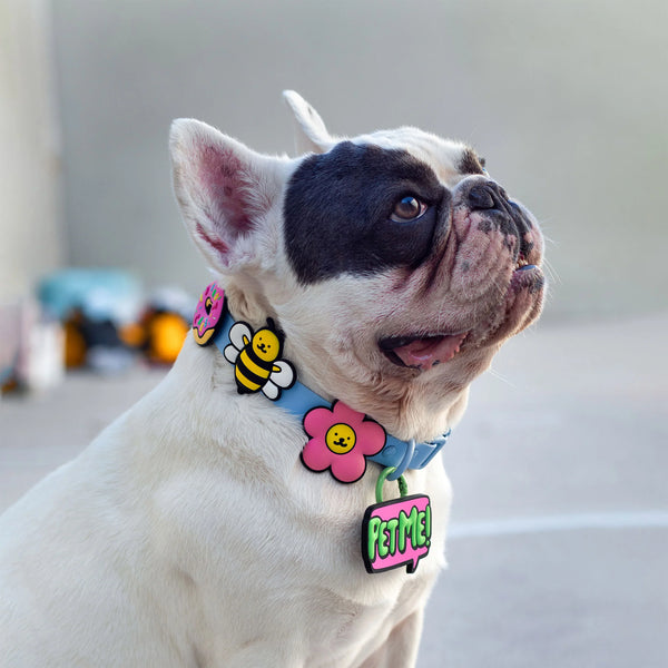 JIBY Pet Me Dog Charm