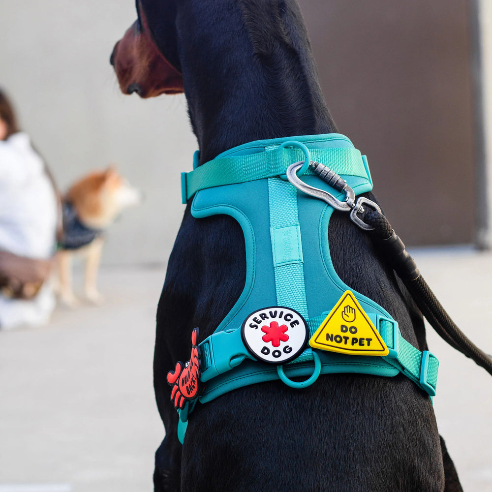 JIBY Do Not Pet Dog Charm