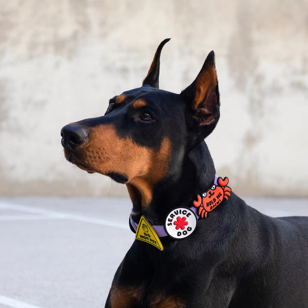 JIBY Service Dog Dog Charm