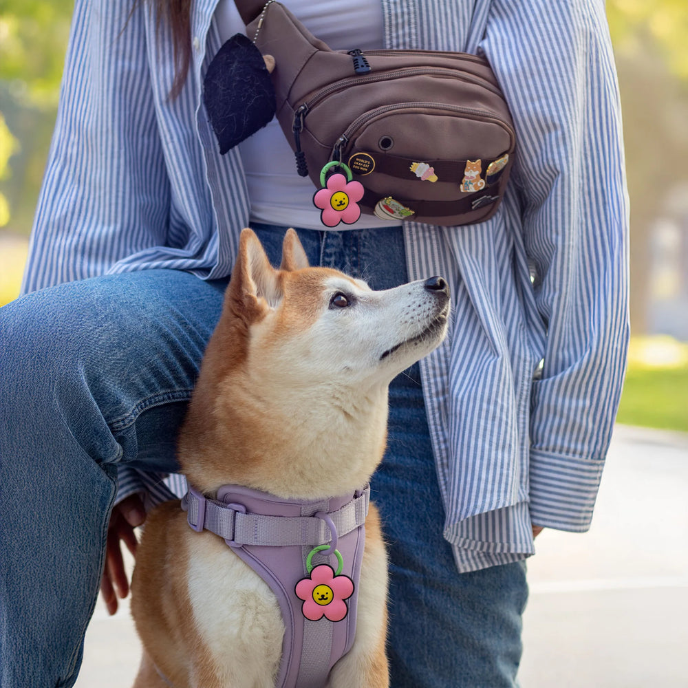 JIBY Pink Daisy Dog Charm