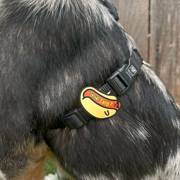 JIBY Sup Dog Dog Charm