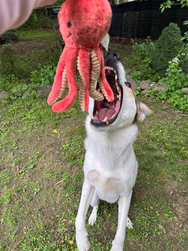 FLUFF & TUFF Squirt Octopus