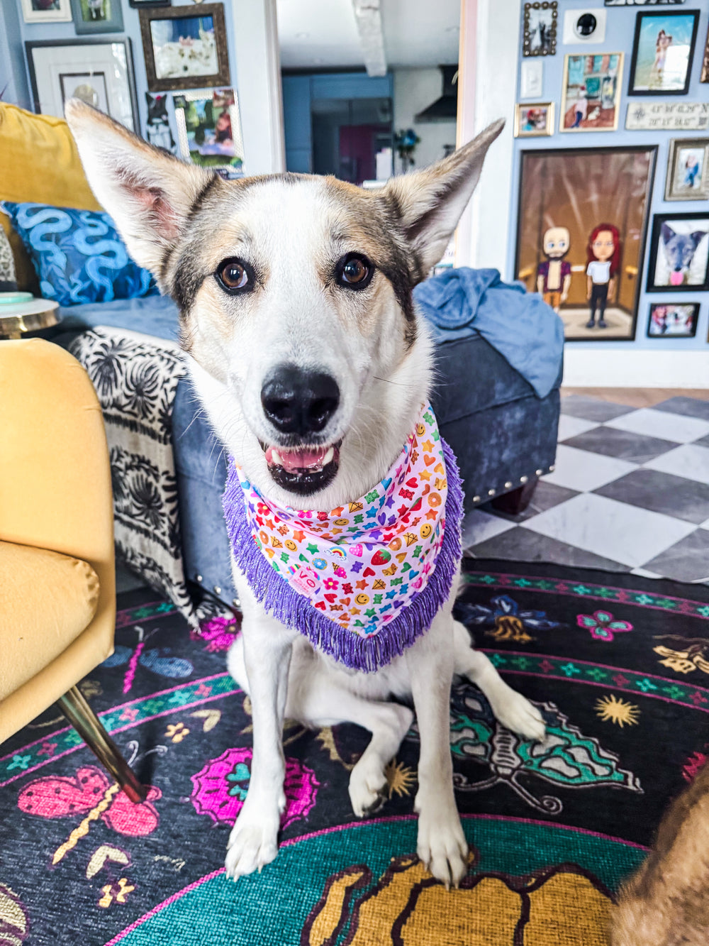 VELVET OUTPAWS Rainbow Candy Fringe Bandana