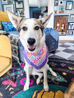 VELVET OUTPAWS Rainbow Candy Fringe Bandana