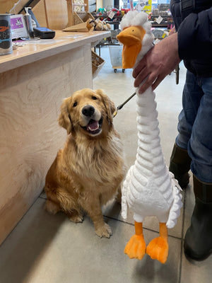PETLOU Farm Friends Duck Dog Toy 36"