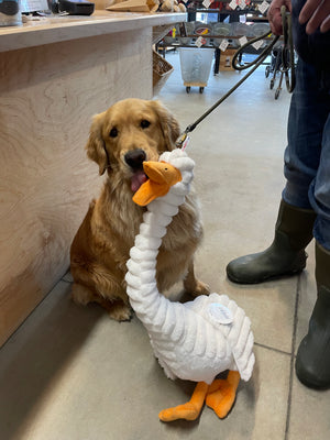 PETLOU Farm Friends Duck Dog Toy 36"