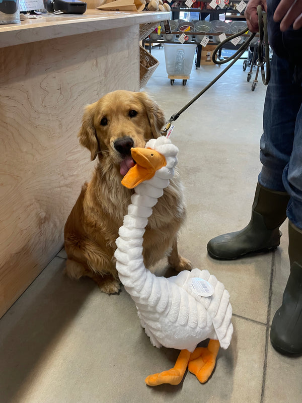 PETLOU Farm Friends Duck Dog Toy 36"