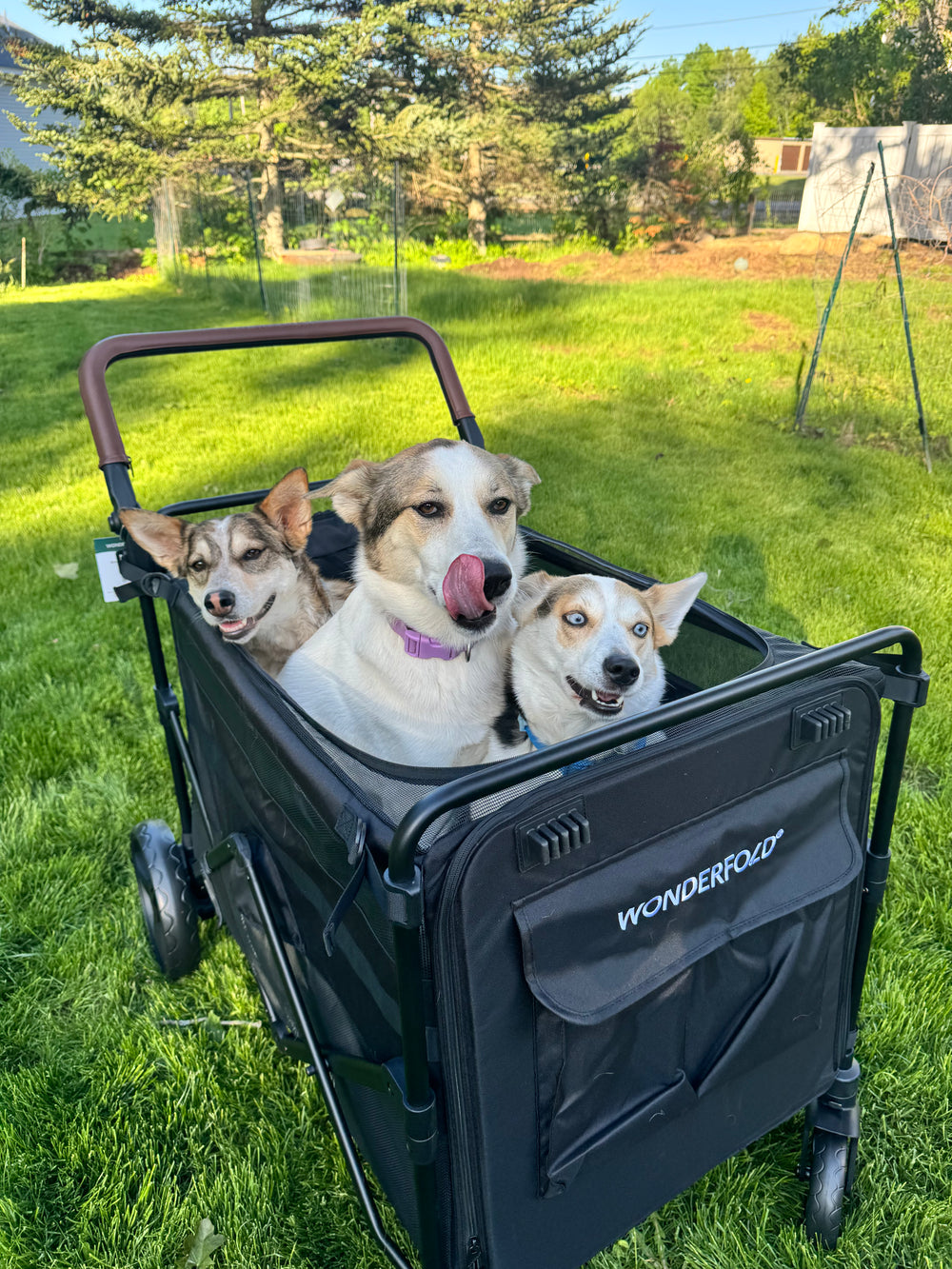 WONDERFOLD Max Pet Stroller