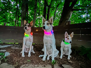 NITE IZE NiteHowl LED Rechargeable Safety Necklace Disco