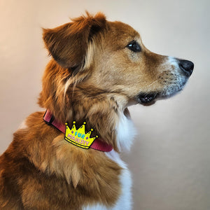 JIBY Fur Majesty Dog Charm