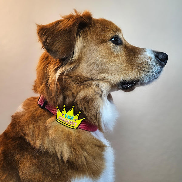 JIBY Fur Majesty Dog Charm