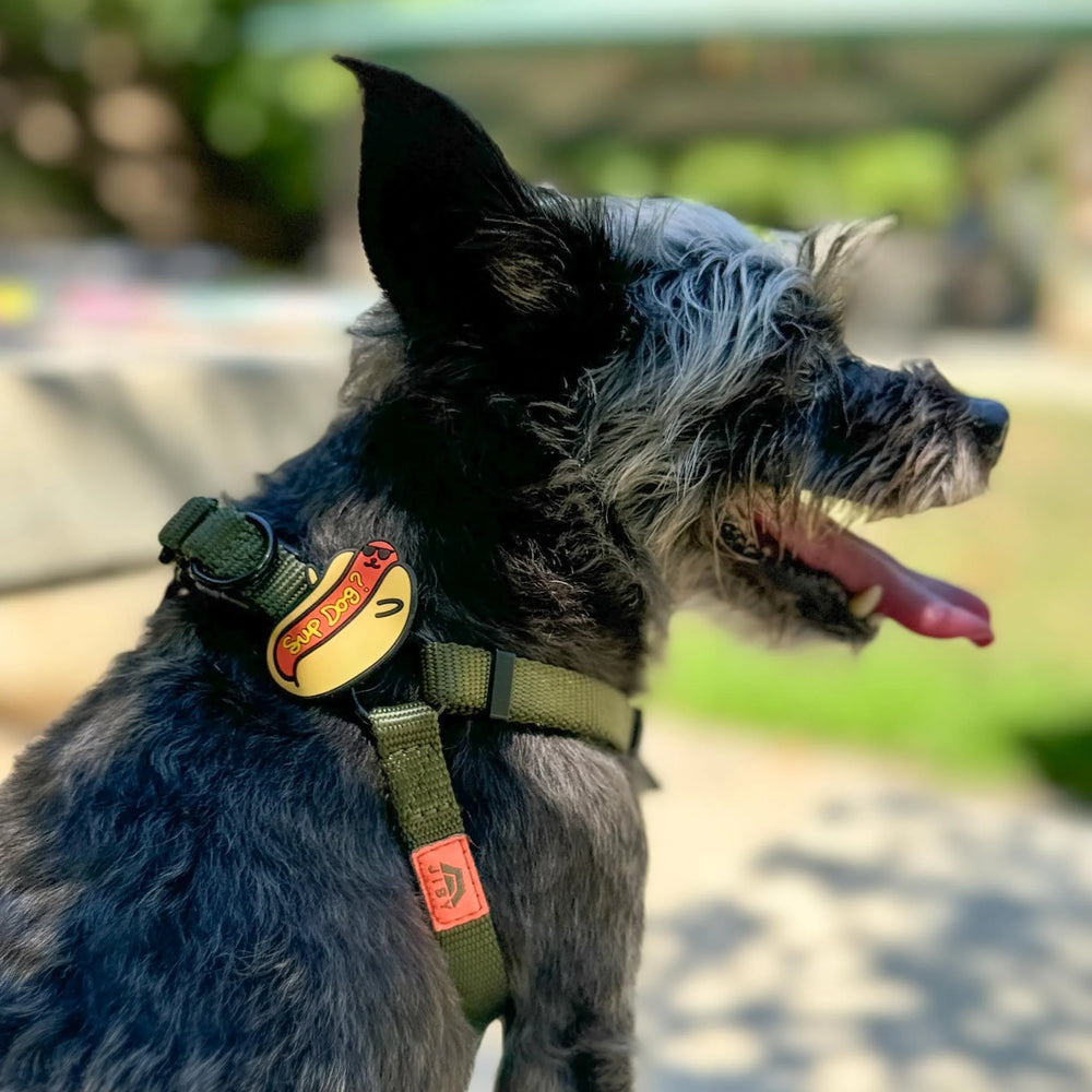JIBY Sup Dog Dog Charm