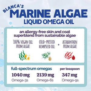 AUSTIN AND KAT Blanca's Marine Algae Oil 16 OZ