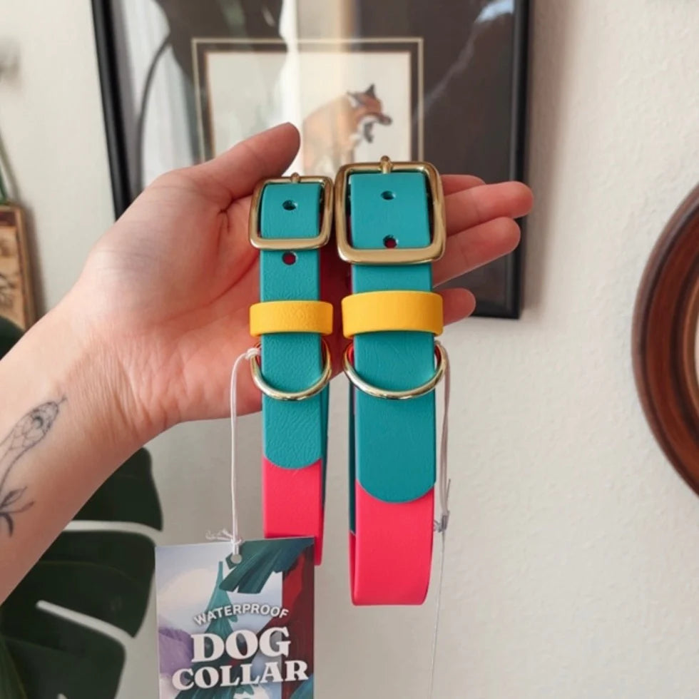 FOXMOTH Waterproof Biothane Dog Collar Modern Retro Design