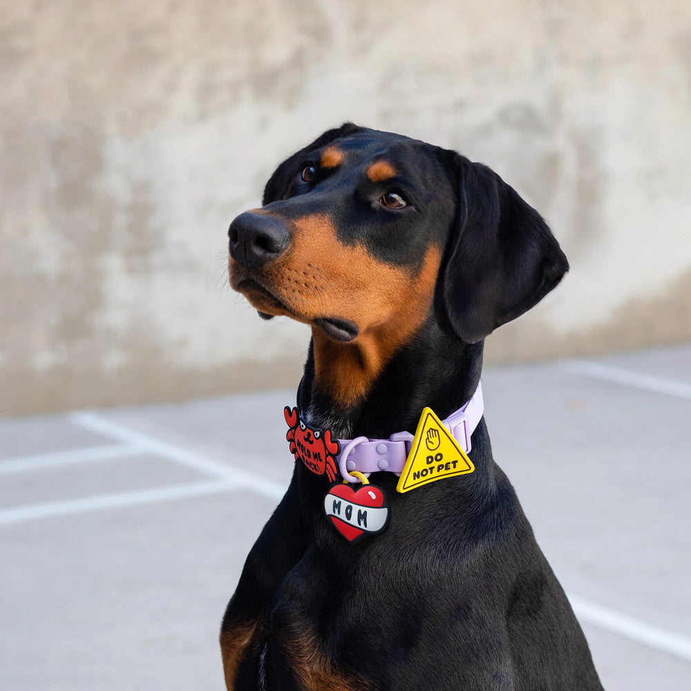 JIBY Mom Tattoo Dog Charm