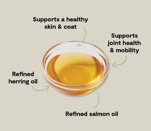 OPEN FARM Icelandic Herring and Salmon Oil 16.9 OZ