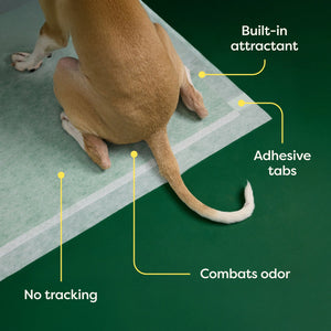 Earth Rated Max Absorbancy Training Pee Pads