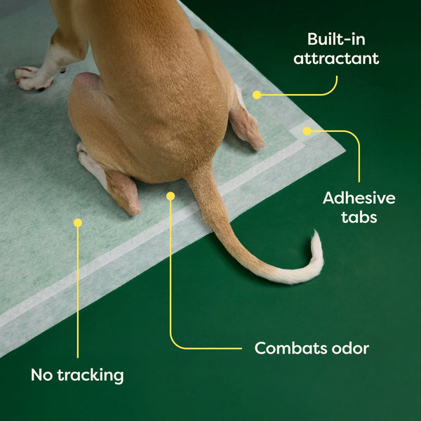 Earth Rated Max Absorbancy Training Pee Pads