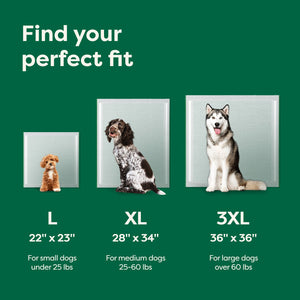 Earth Rated Max Absorbancy Training Pee Pads
