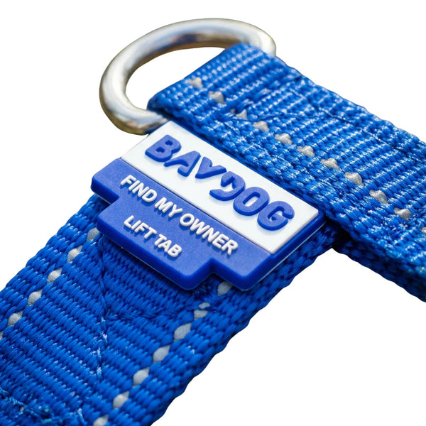 BAYDOG  Chesapeake Harness Blue