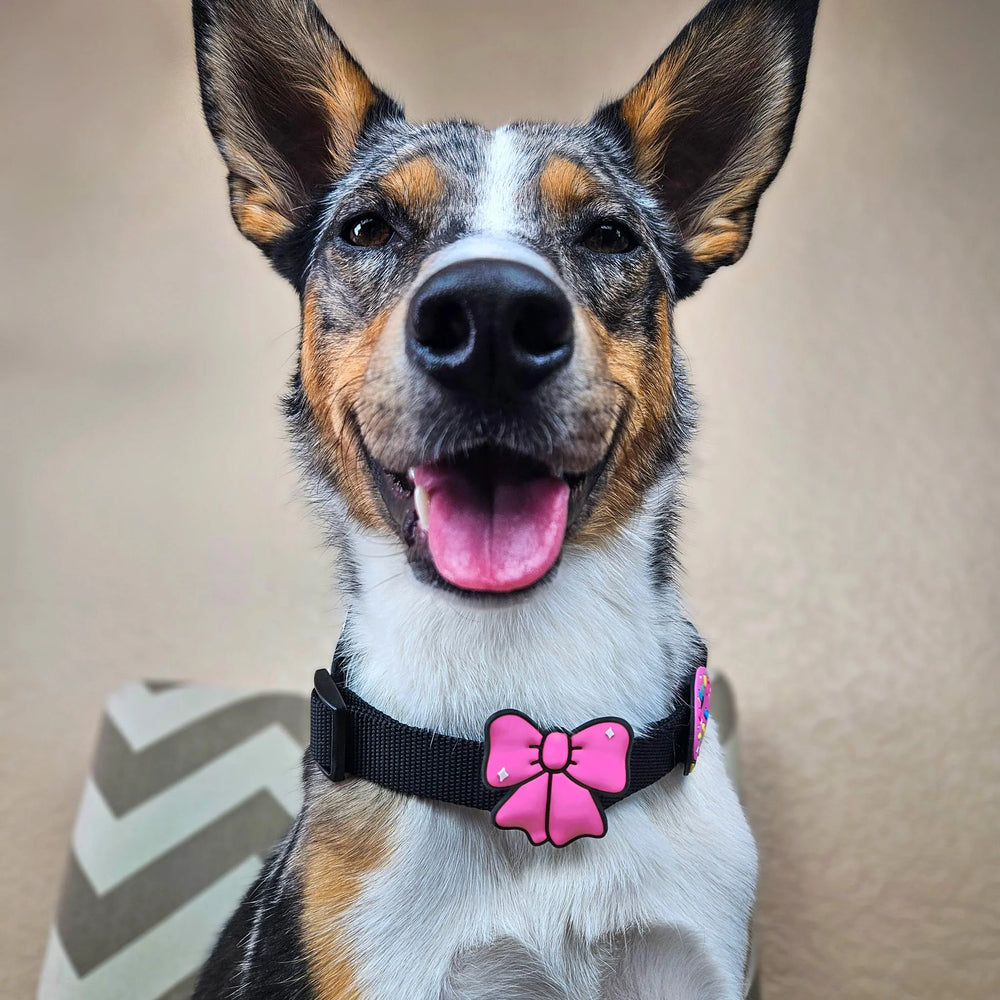 JIBY Pink Ribbon Dog Charm