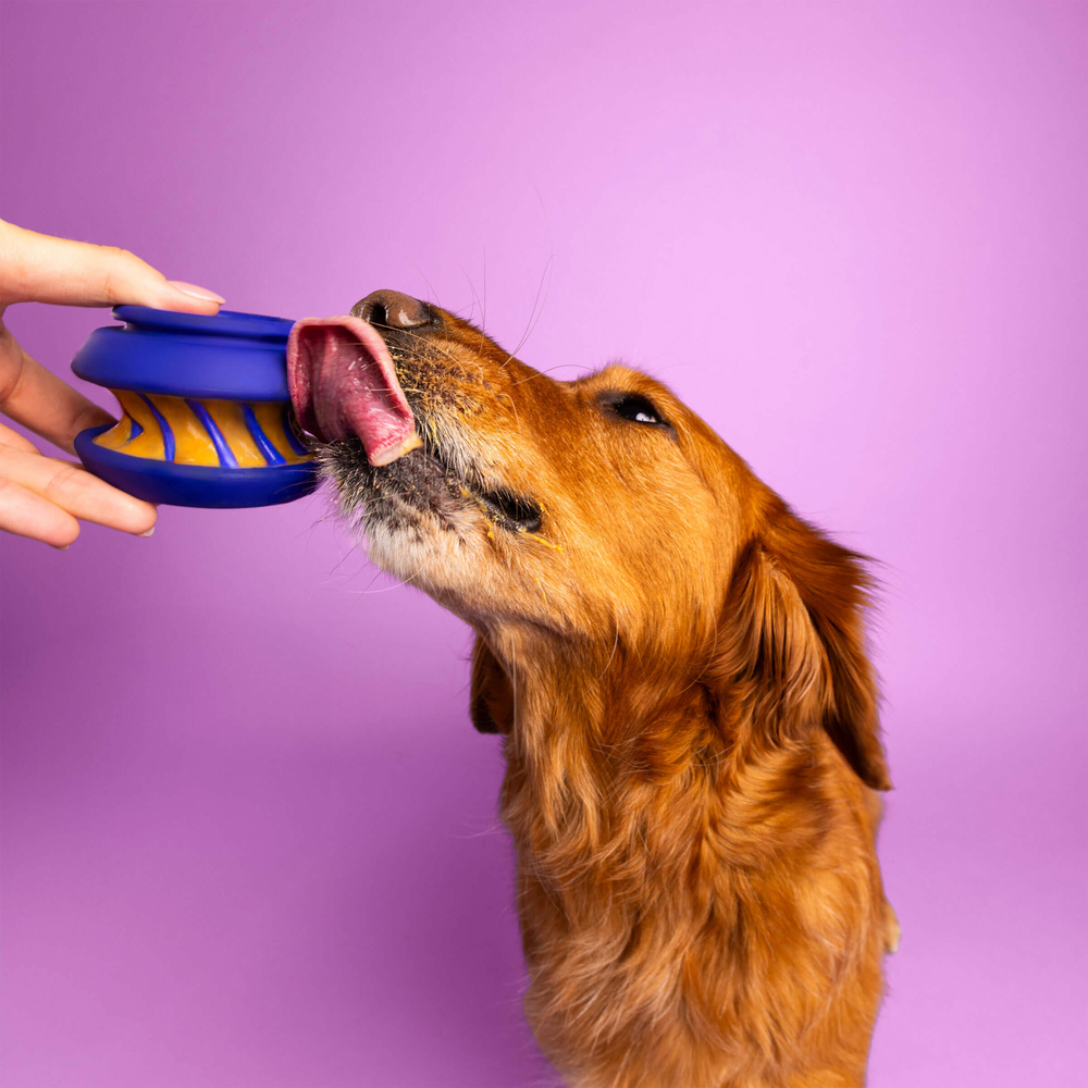 WAG LAB The Slobber Blue
