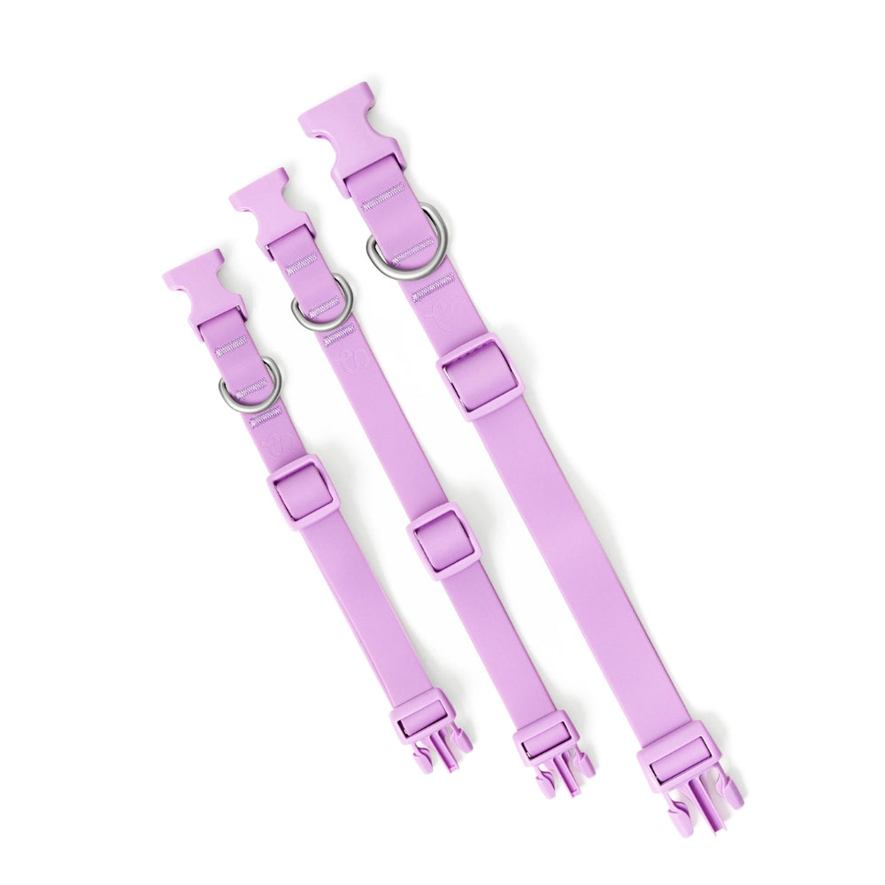 SPRINGLAND Waterproof Dog Collar Lilac
