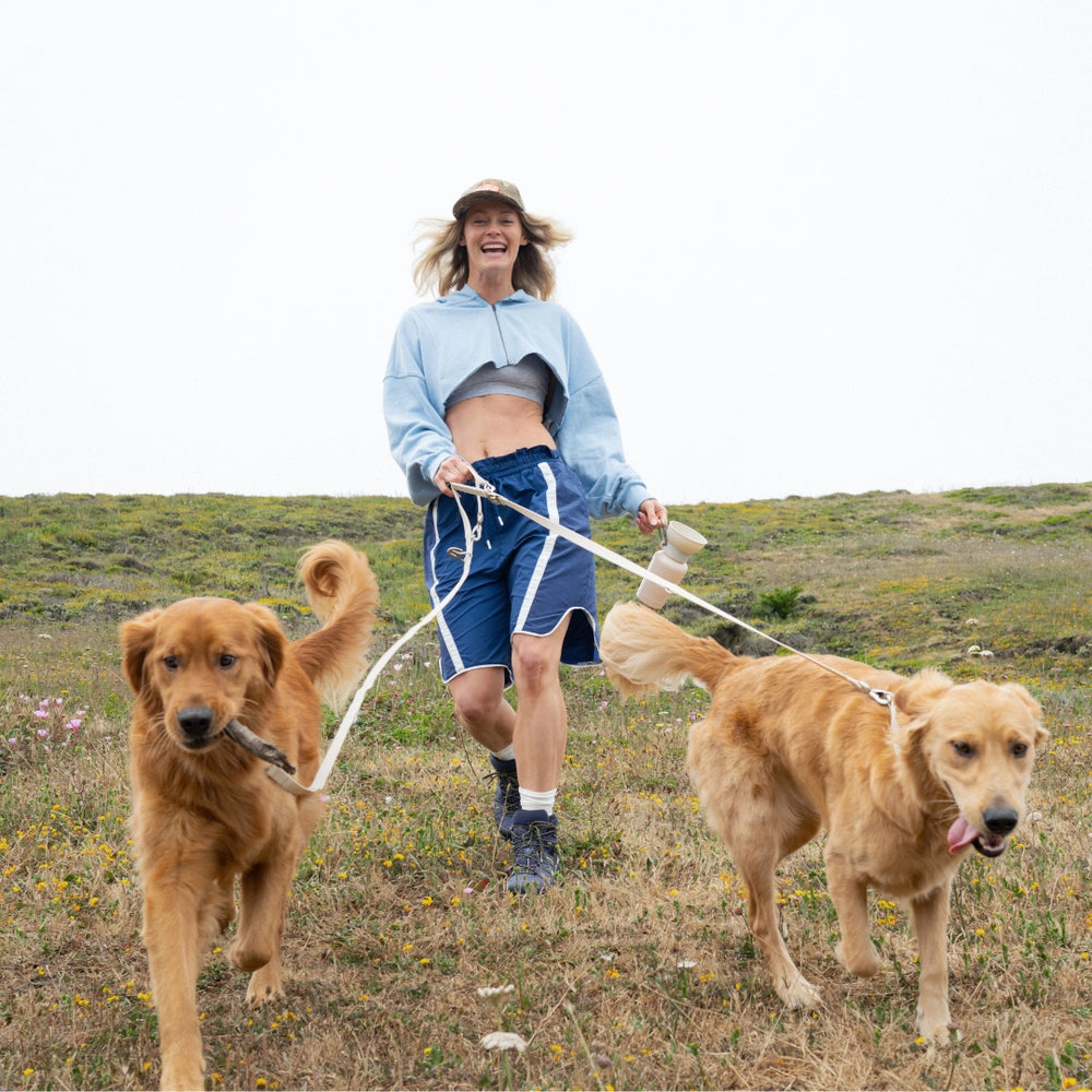 SPRINGLAND Waterproof Dog Leash Oat