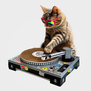 SUCK US Cat Scratch DJ Deck