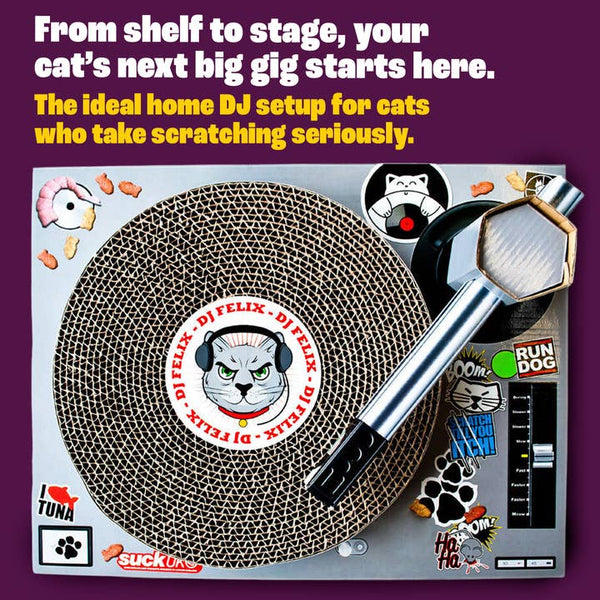 SUCK US Cat Scratch DJ Deck