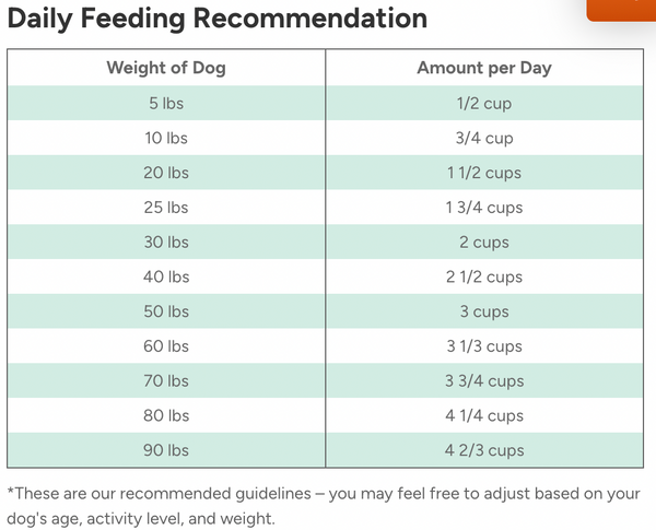 DR MARTY Nature's Blend Premium Origin Freeze-dried Dog Food