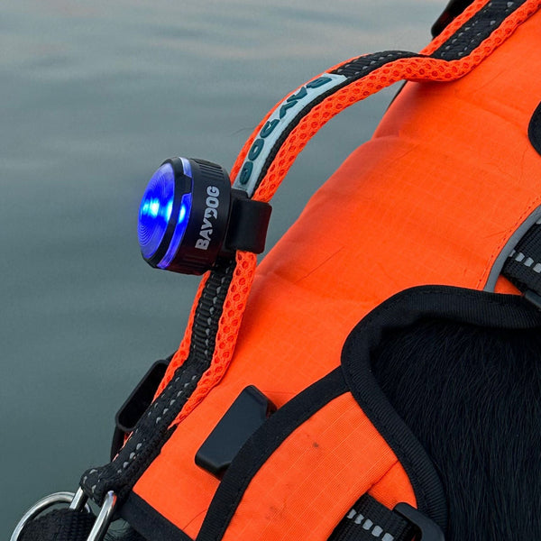 BAYDOG Firefly LED Safety Light