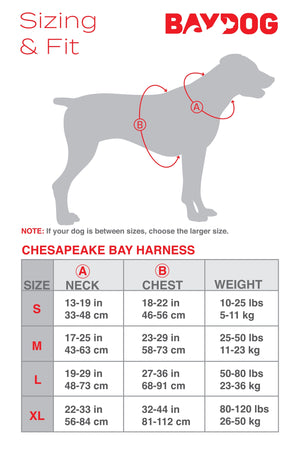 BAYDOG  Chesapeake Harness Purple