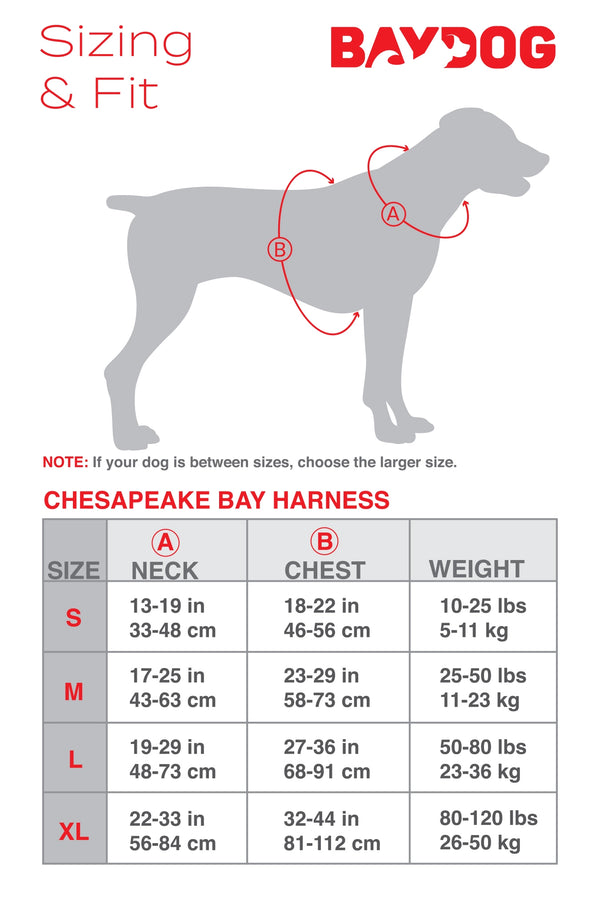 BAYDOG  Chesapeake Harness Purple