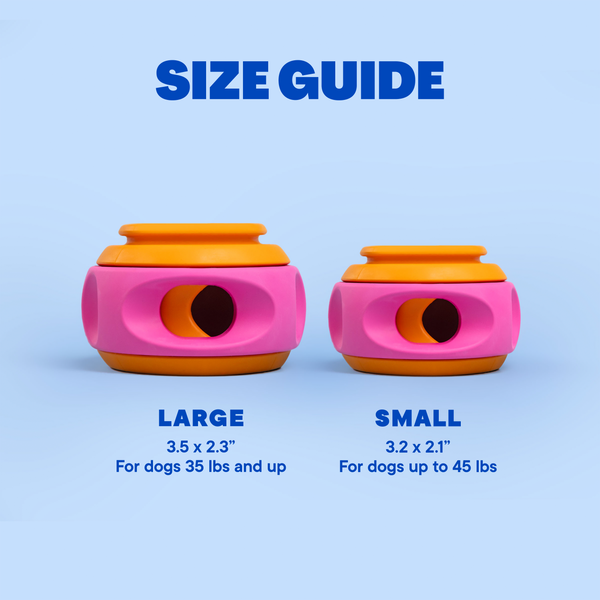 WAG LAB The Spinner Orange & Pink
