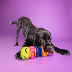 WAG LAB The Squiggle Purple