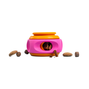 WAG LAB The Spinner Orange & Pink