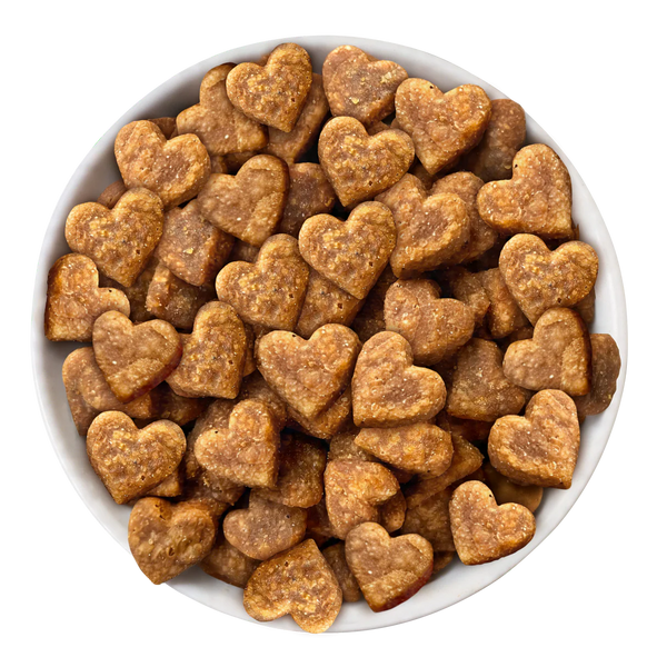 WERUVA Toodzies Salmon Cat Treat 2OZ