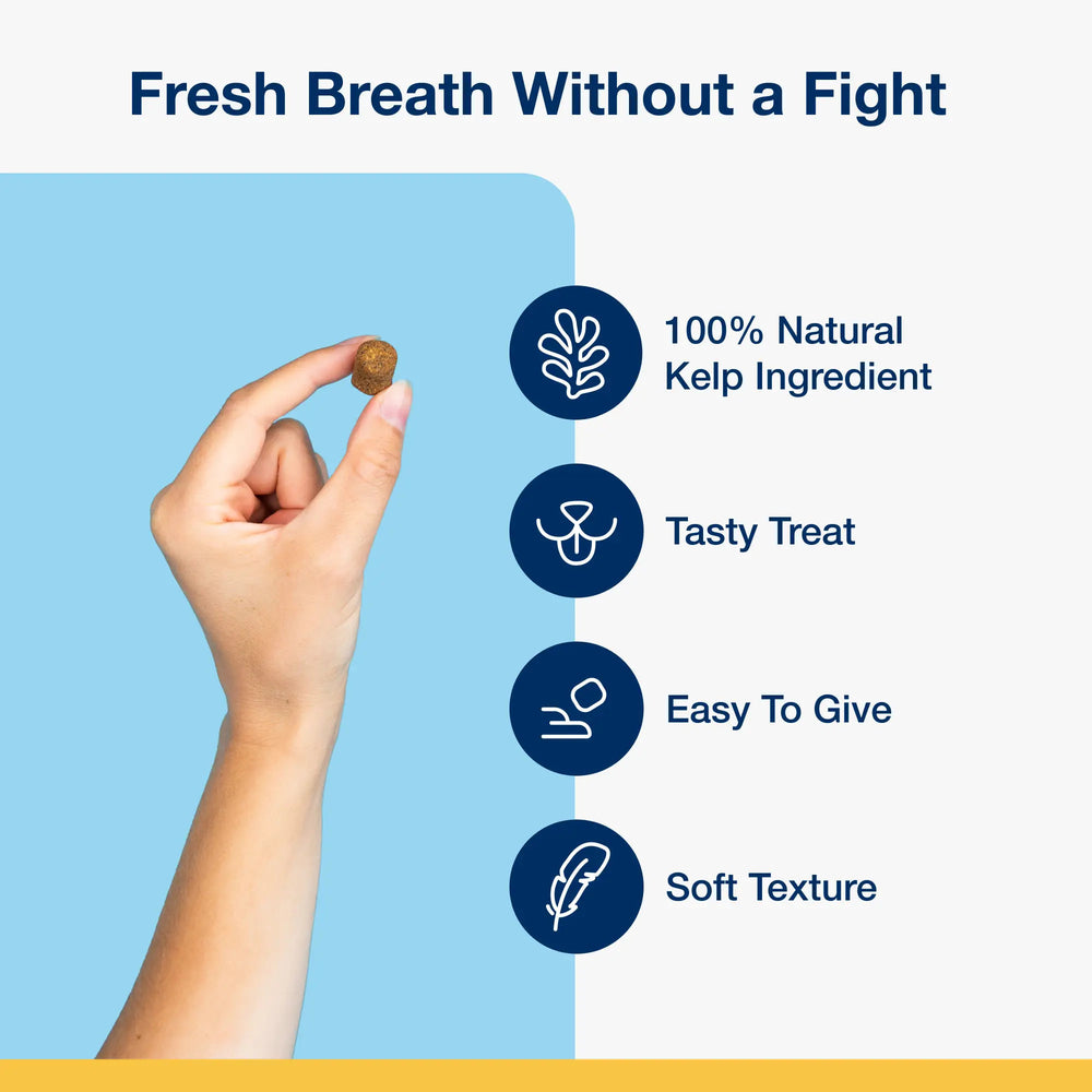 PRODEN PlaqueOff Soft Chews for Cats