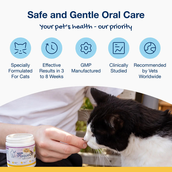 PRODEN PlaqueOff Soft Chews for Cats