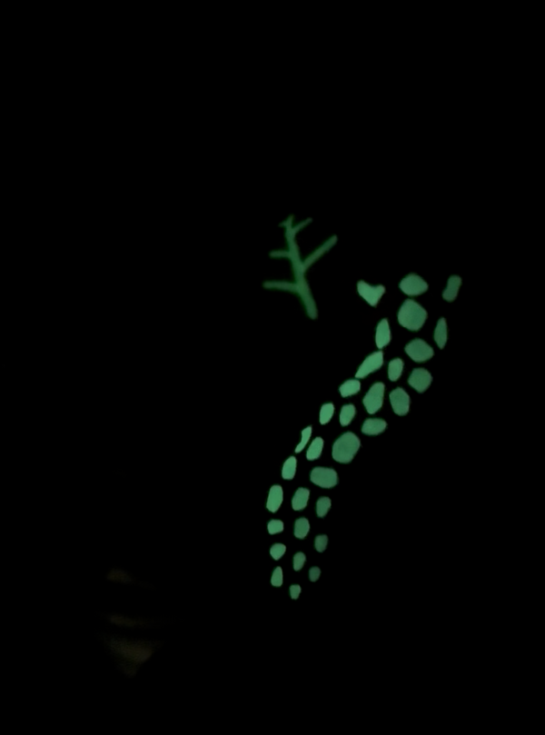 QURIKY KITTY Glow Snake Cat Wand Toy