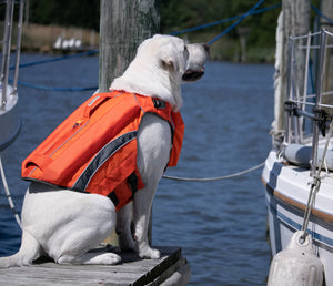 BAYDOG Monterey Bay Dog Lifejacket Offshore Blaze Orange