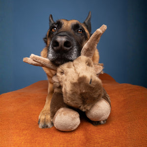 FLUFF & TUFF Trax Moose