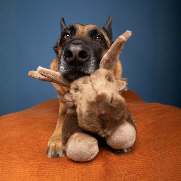 FLUFF & TUFF Trax Moose