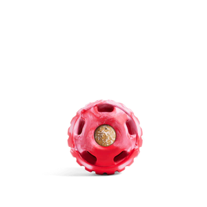 Woof Holiday Pupsicle Toy + Jingle Pops Treat Bundle