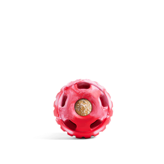 Woof Holiday Pupsicle Toy + Jingle Pops Treat Bundle