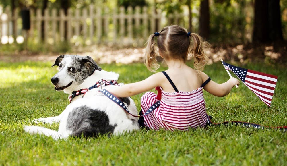 PAW PAWS USA Americana Park Dog Collar Stars