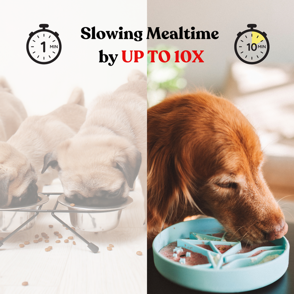 BARKS & BROWNIES Origami Slow Feeder