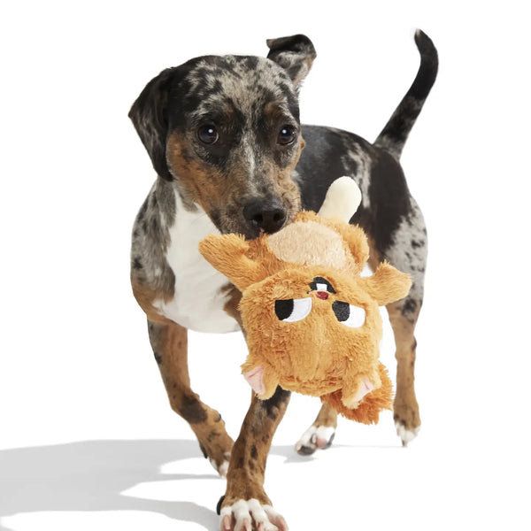 BARK Pearl Squirrel Brown Plush Dog Toy